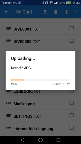 Upload the file to the SD card.